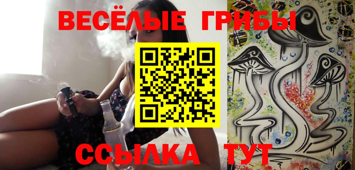 Псилоцибиновые грибы Cubensis Пыть-Ях