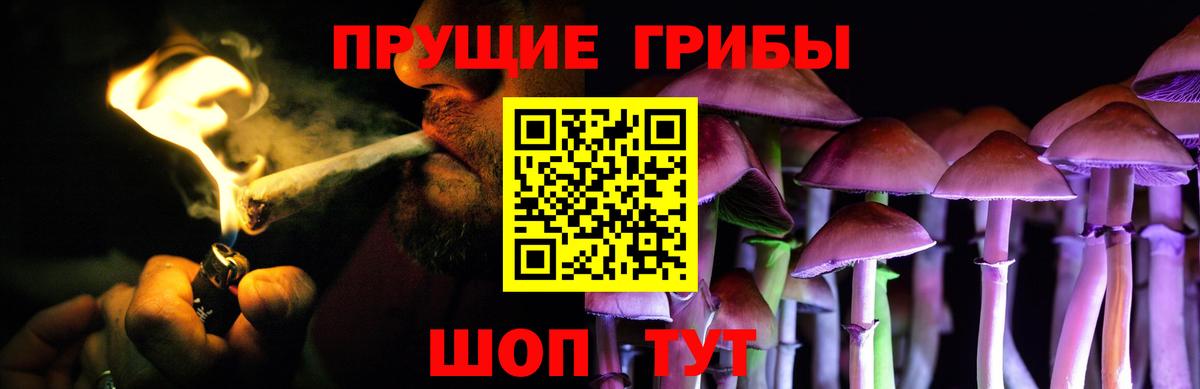 Галлюциногенные грибы Magic Shrooms  Пыть-Ях  Галлюциногенные грибы Magic Shrooms 
